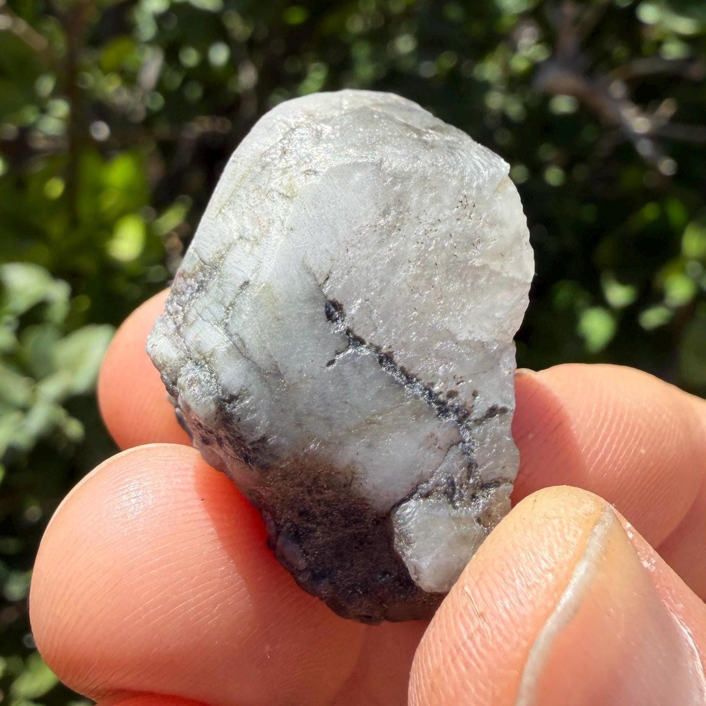 Brazilian Phenacite Crystal: High Vibration Meditation Crystal, 15.60g/78ct