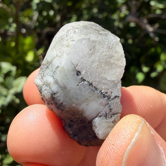 Brazilian Phenacite Crystal: High Vibration Meditation Crystal, 15.60g/78ct