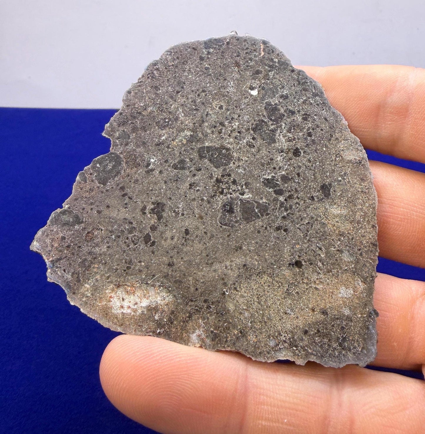 Ash Shaqqah 002 Lunar Meteorite | Moon Rock 27.16 Troctolite