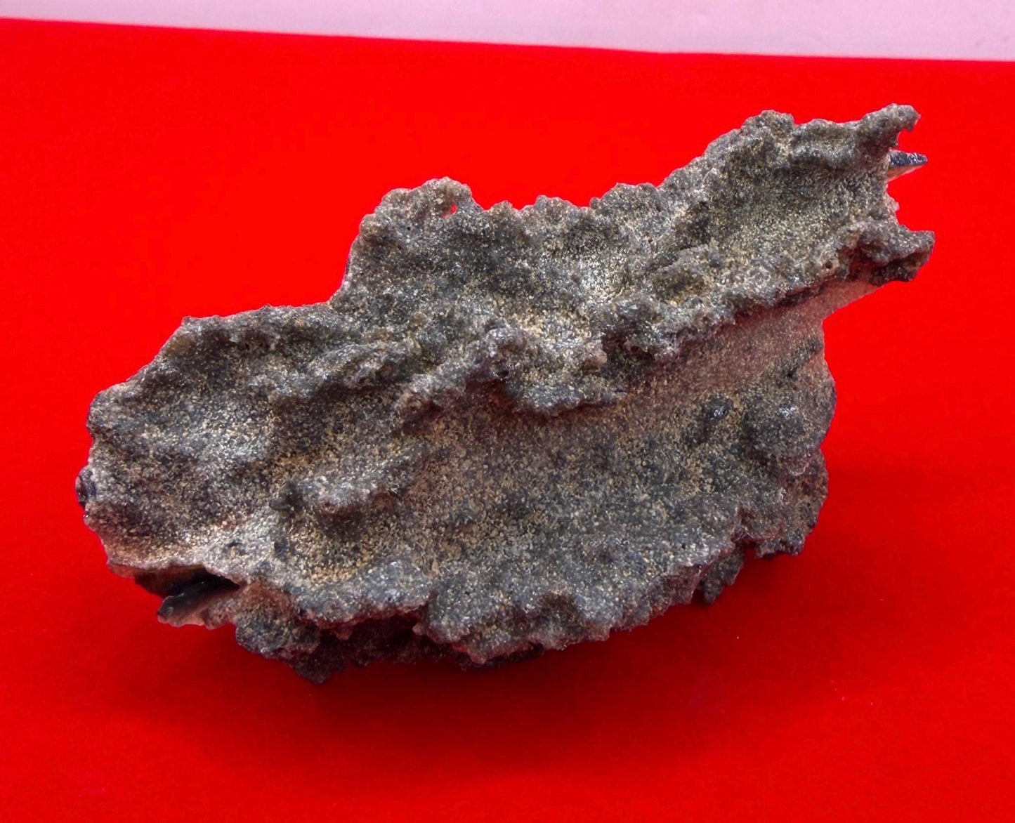 Sahara Desert Fulgurite: Lightning Glass, Fossilized Lightning, Energy Work, 13.12 grams