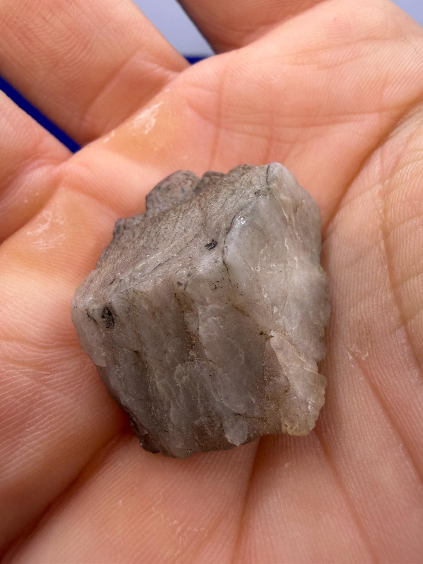 Brazilian Phenacite Crystal: Authentic, Metaphysical Crystal, 12.07g/60.35ct