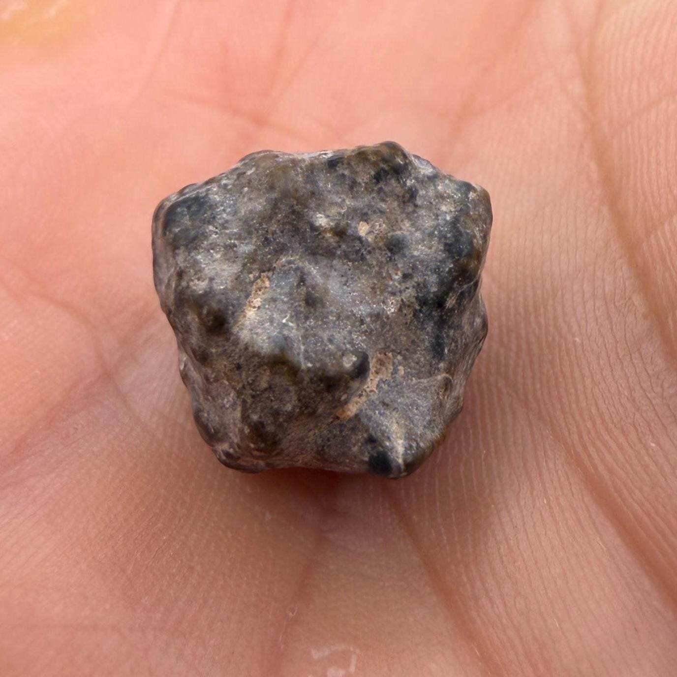 NWA 13974 Lunar Meteorite - Feldspathic Breccia, 2.45 grams