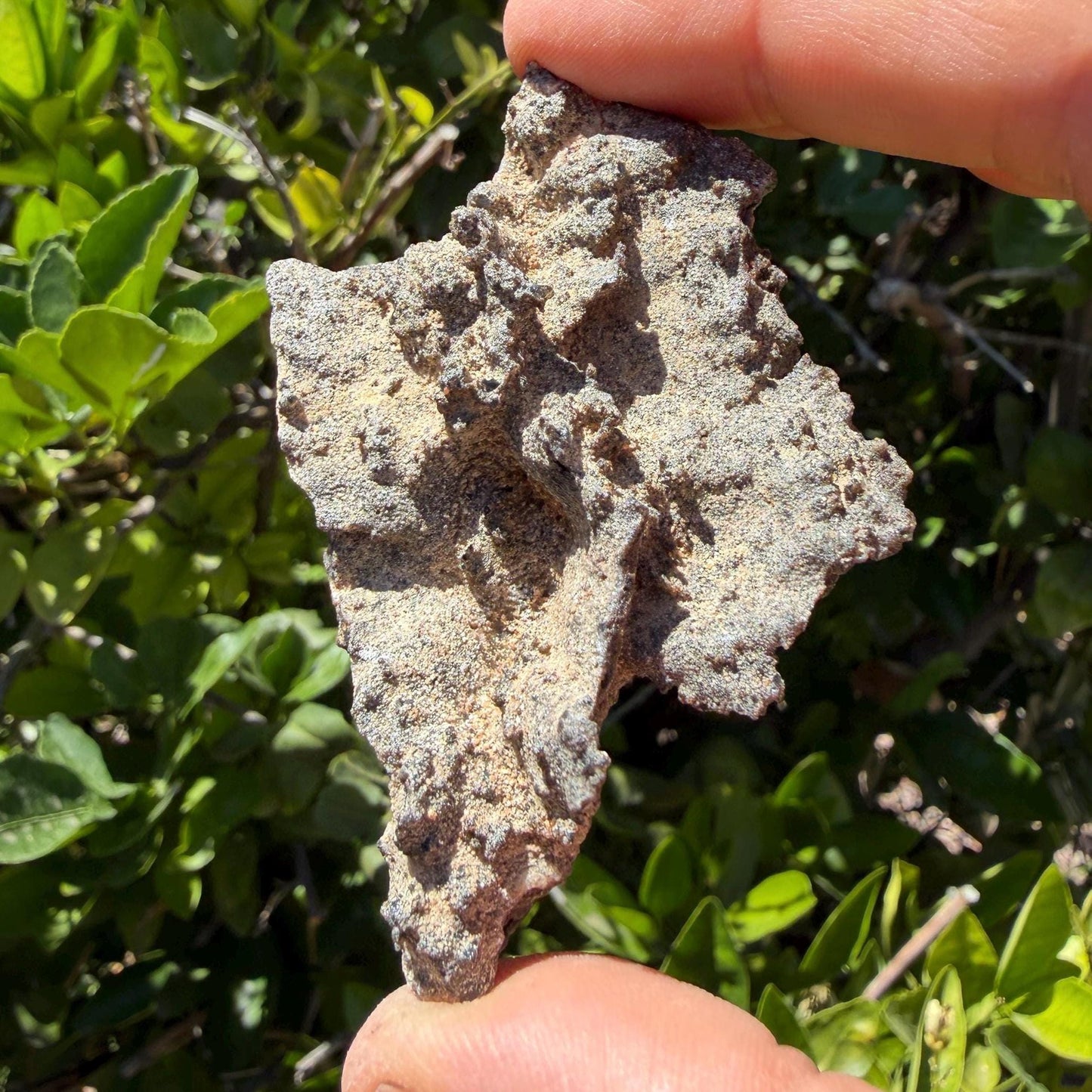 Sahara Desert Fulgurite: Fossilized Lightning Rock, Energy Work, 17.90 grams