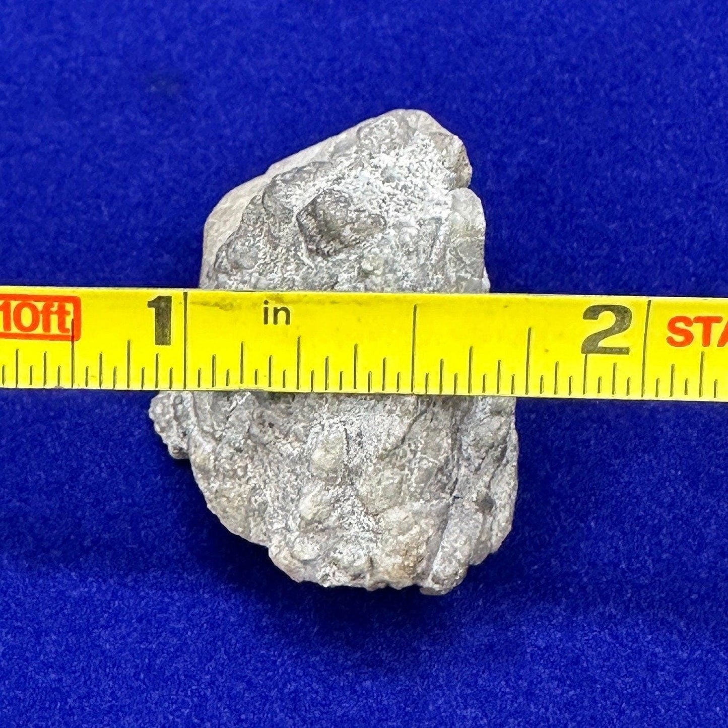 Brazilian Phenacite Crystal: Authentic Phenacite, Metaphysical Gemstone, 17.65g/88ct