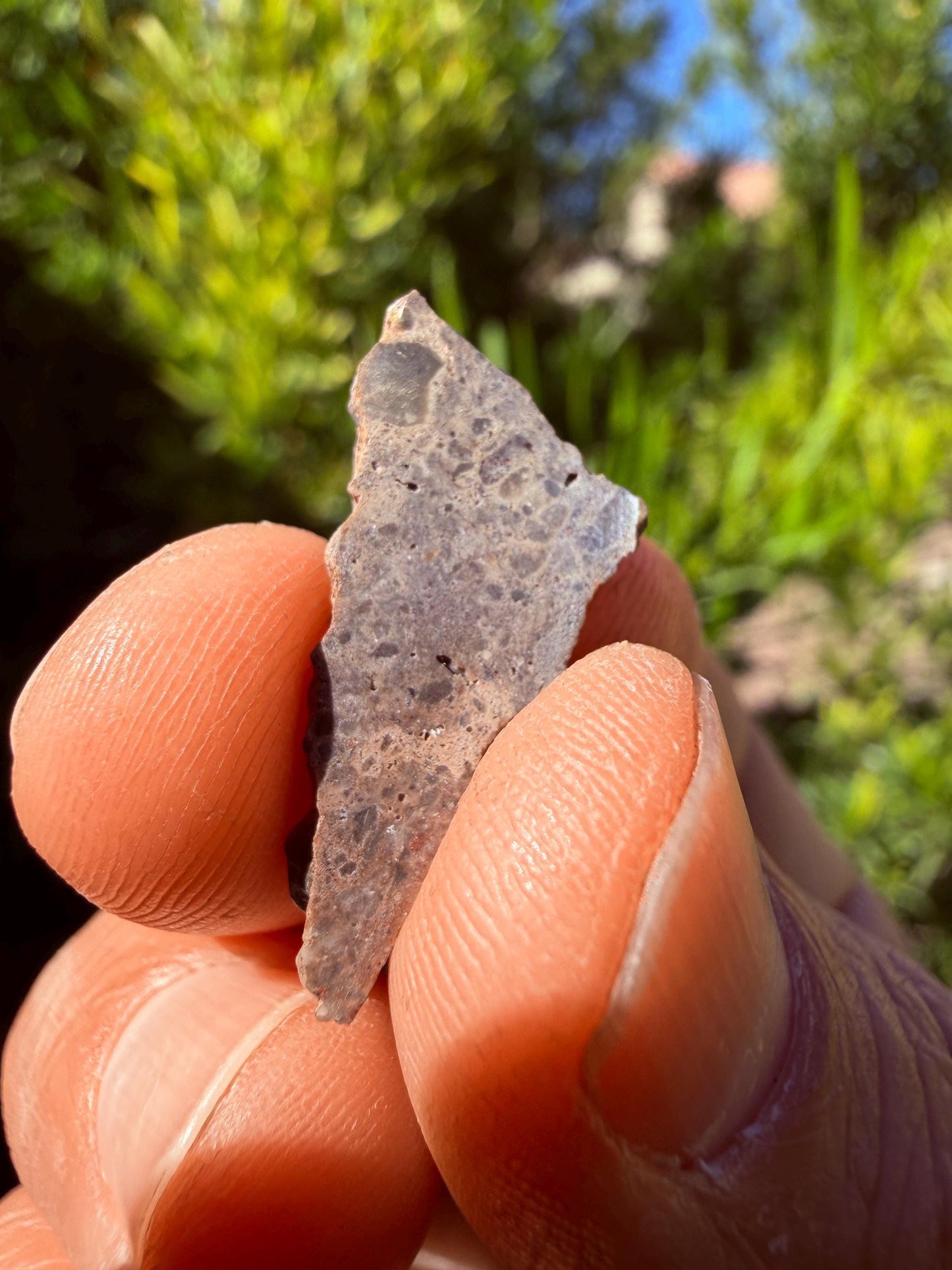 Oued el Hamim 001 Lunar Meteorite Slice, Authentic Moon Rock, Rare Aqueously Altered Lunar, 1.14g