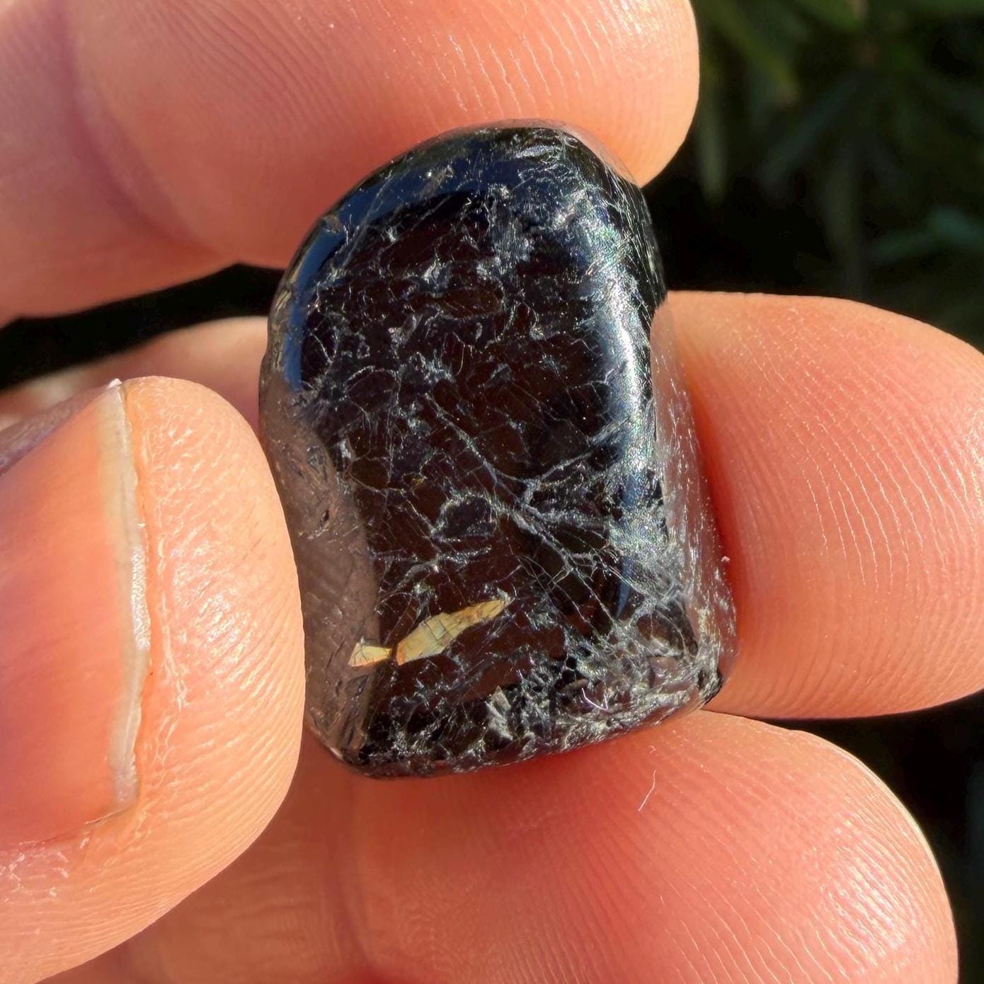 Greenland Nuummite Stone: Reiki Healing Stone, Protection Talisman, 10.83 grams