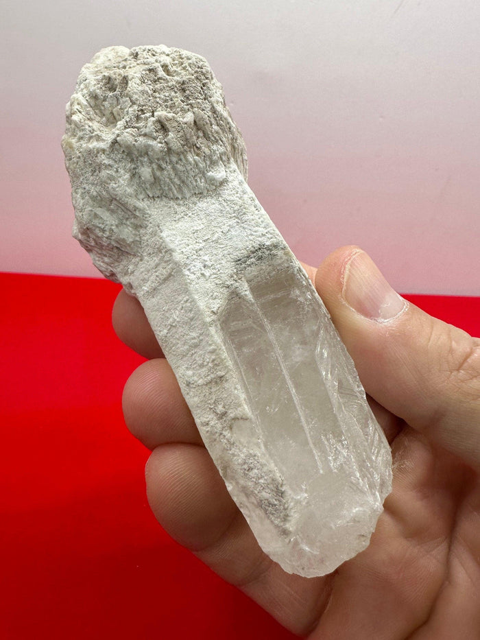 Rare Mushroom Scepter Quartz with Kaolinite Coating: Energy Work, Rare Brazilian Crystal, 140 grams