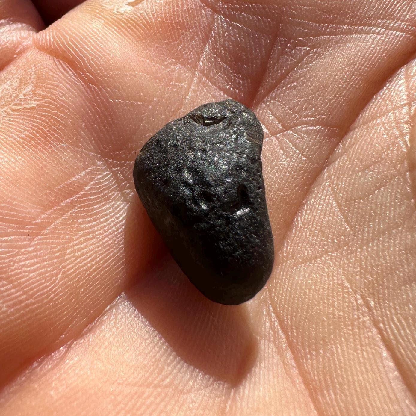 Saffordite Specimen: Arizona Cintamani Stone, Metaphysical Obsidian, Pseudo-Tektite, 1.95 grams