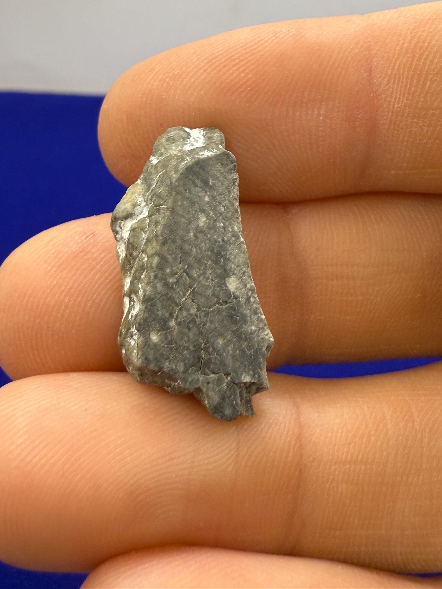 Polished Lunar Meteorite Slice Gadamis 003, Apollo Moon Rock, 2.70 grams