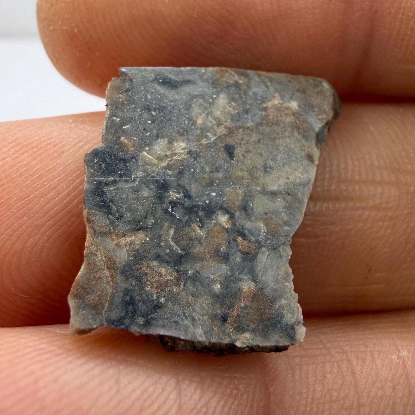 NWA 18045 Lunar Meteorite Slice, Melt Breccia Moon Rock (1.48 grams)