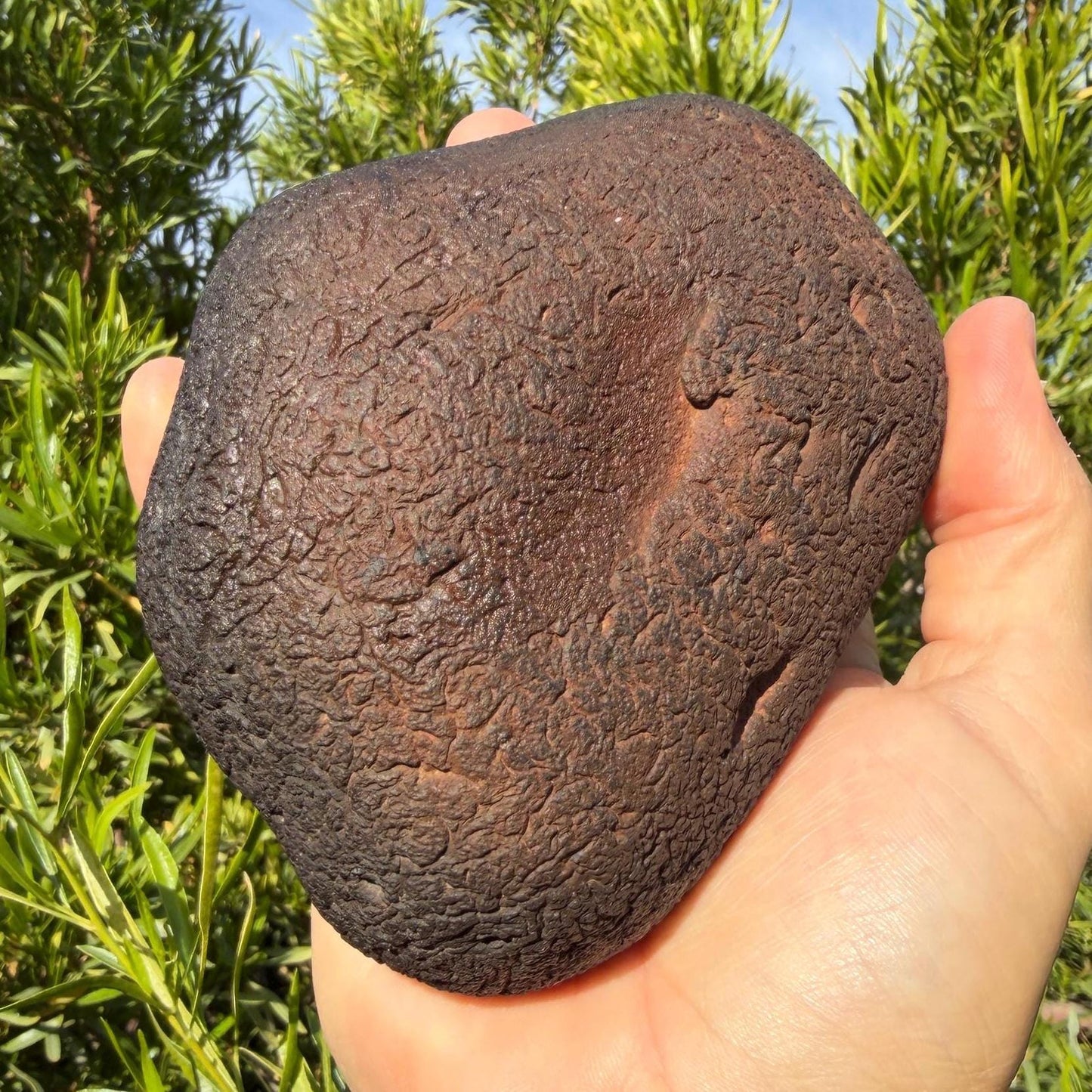 Large Saffordite Cintamani Stone, Arizona Pseudotektite Specimen, 2 lb 10 ounces