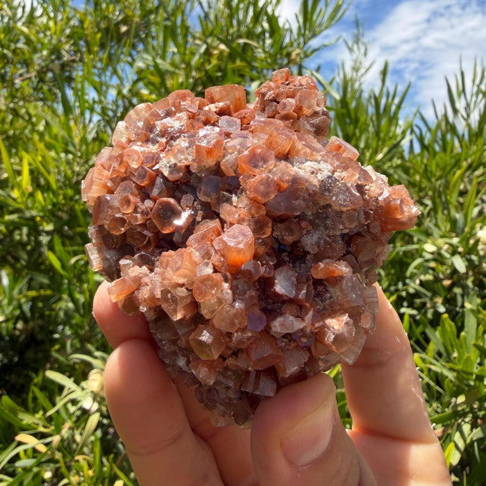 Large Aragonite Star Cluster Crystal Specimen, 337 grams/12oz