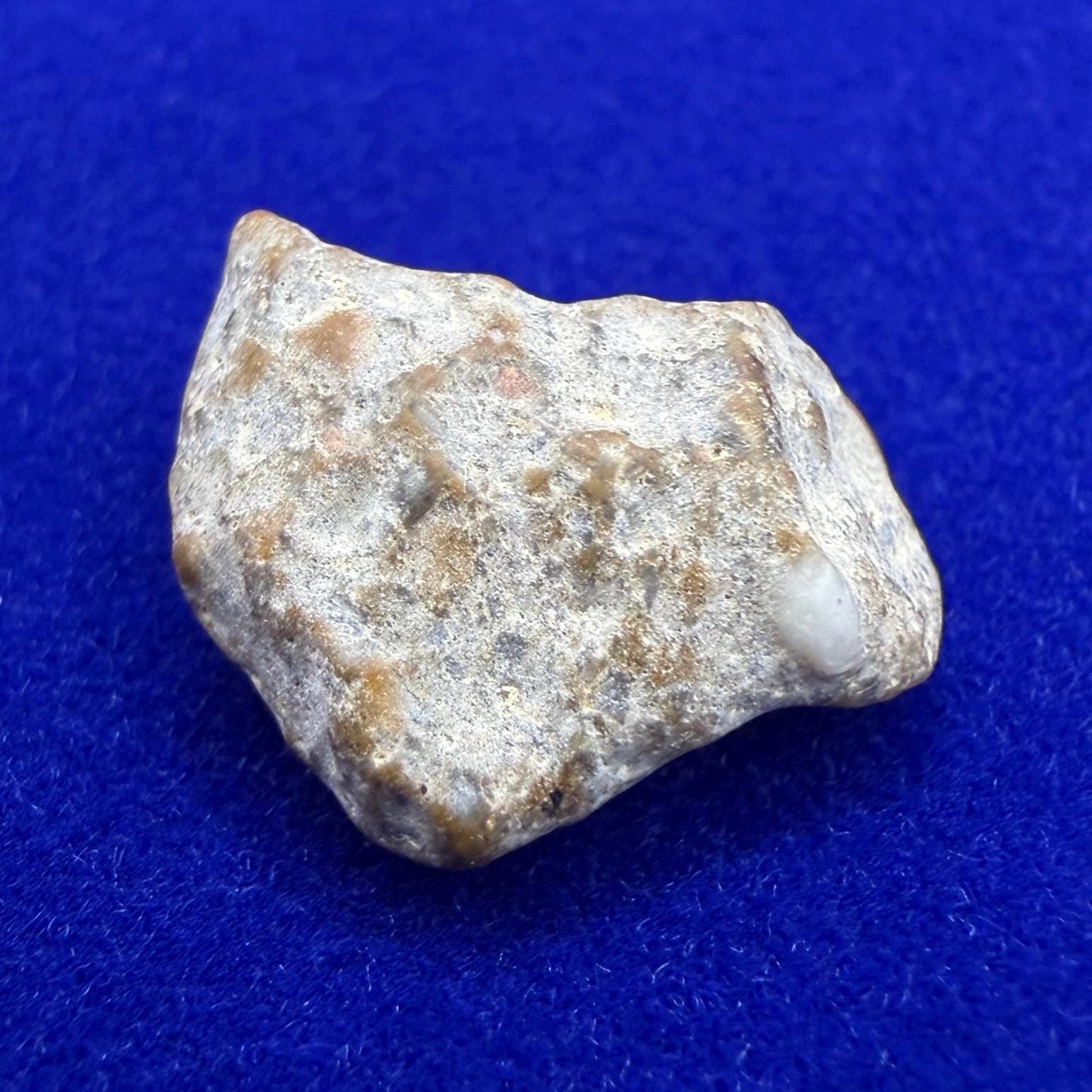 NWA 13974 Lunar Meteorite - Feldspathic Breccia, 1.04 grams