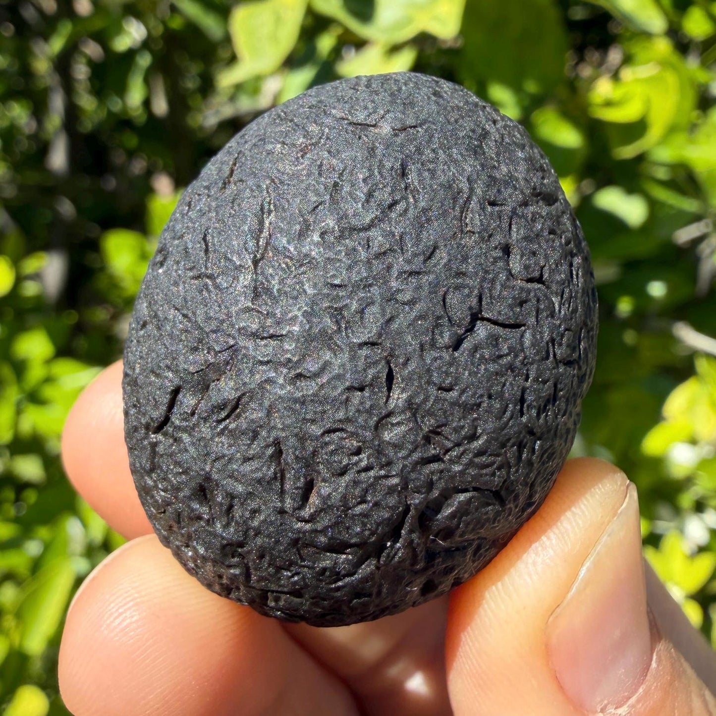 Saffordite Stone, Rare Latge Cintamani, Arizona, Pseudo Tektite, 54.77 Grams