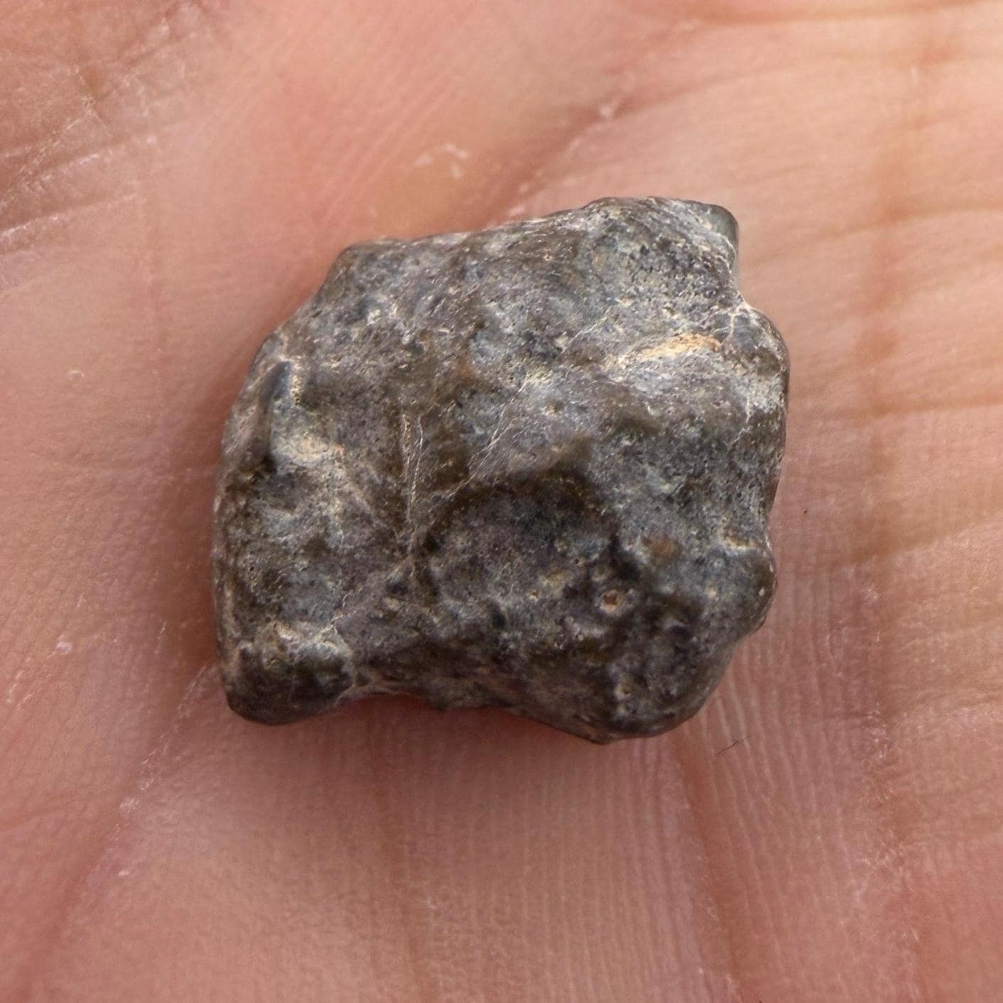 NWA 13974 Lunar Meteorite - Feldspathic Breccia, 1.46 grams