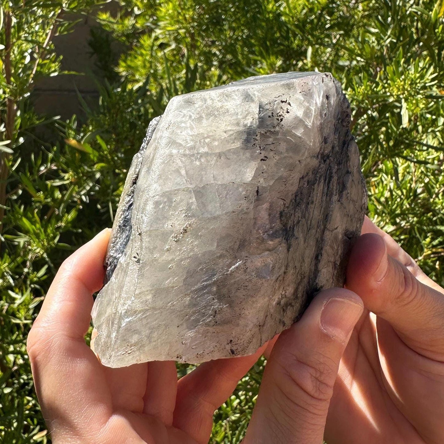 Large Brazilian Phenacite Crystal, Carnaiba Mine, 2 lbs 3 oz