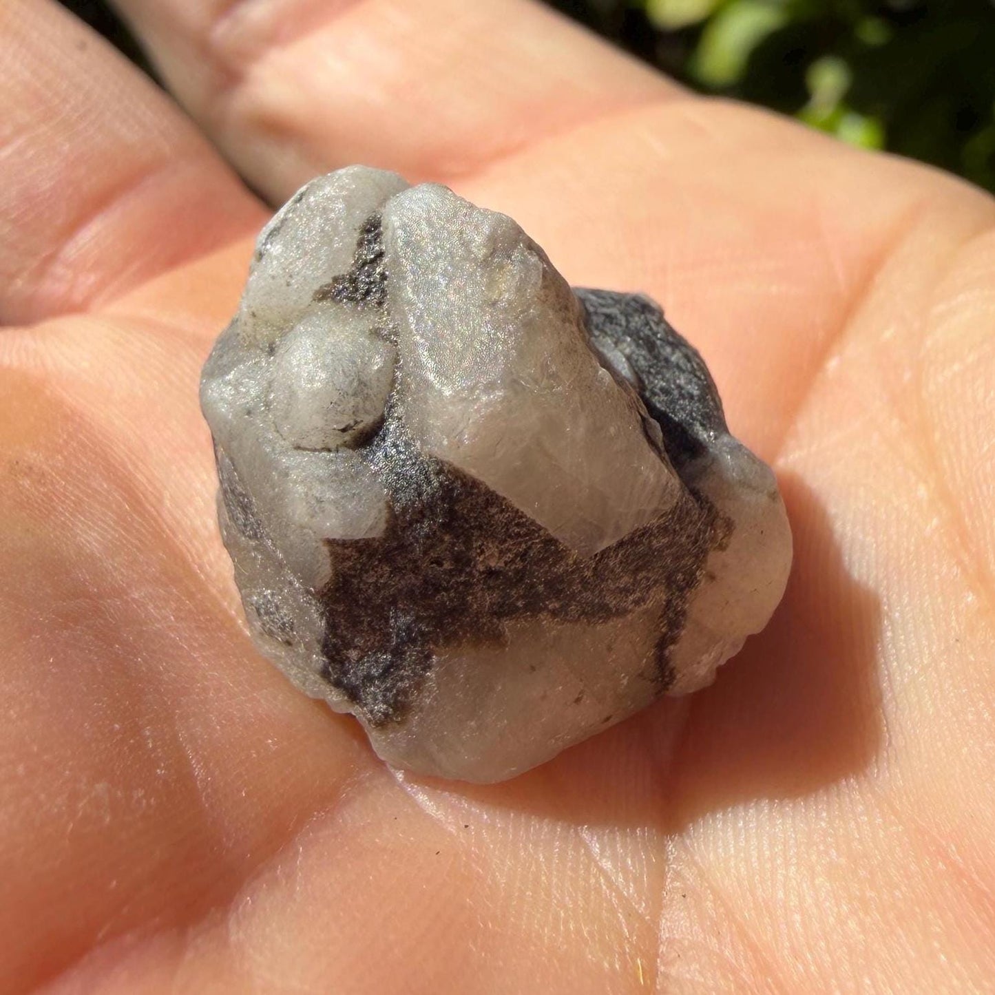 Brazilian Phenacite Crystal: High Vibration Meditation Crystal, 8.0g/40ct