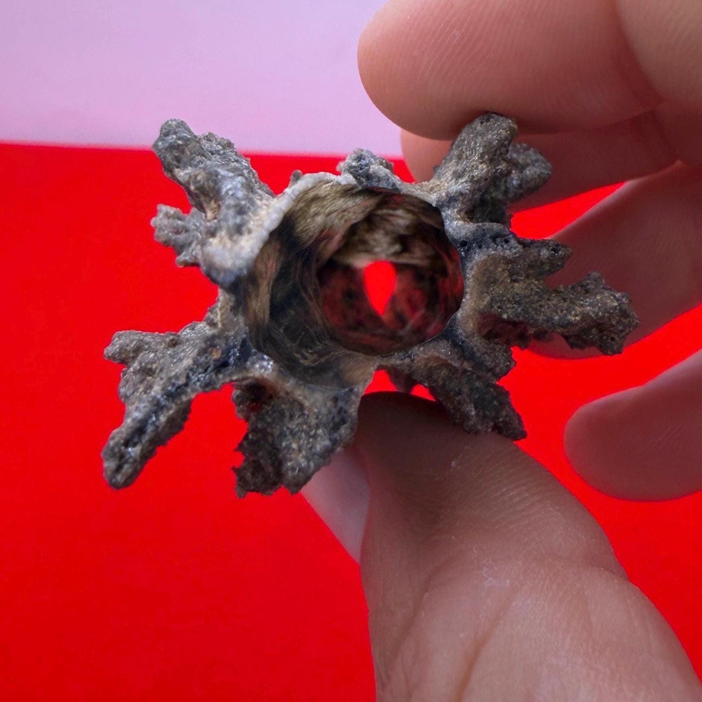 Sahara Desert Fulgurite: Lightning Glass, Fossilized Lightning, Energy Work, 13.12 grams
