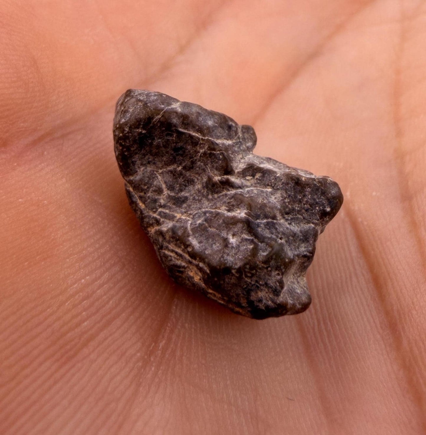 NWA 13974 Lunar Meteorite - Feldspathic Breccia, 2.50 grams
