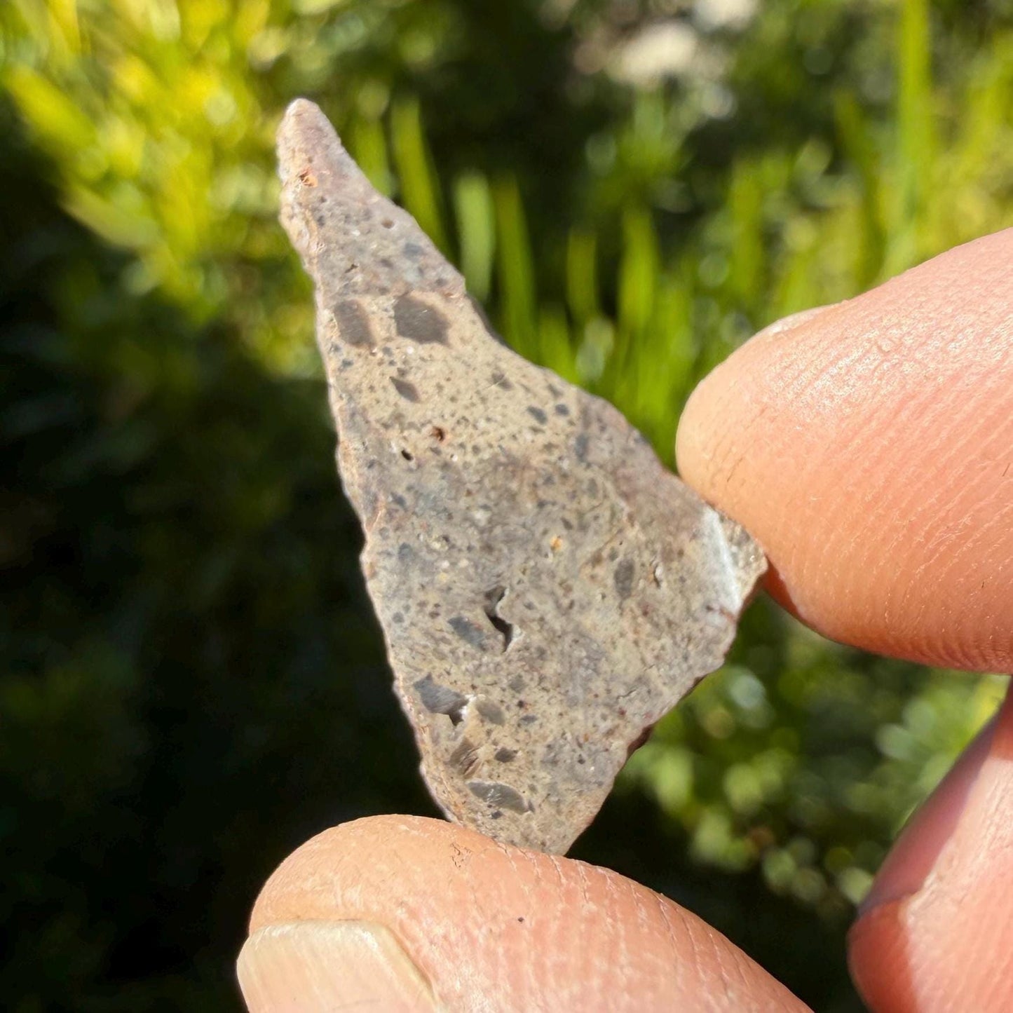 Oued el Hamim 001 Lunar Meteorite Slice, Aqueously Altered Moon Rock (1.48g)