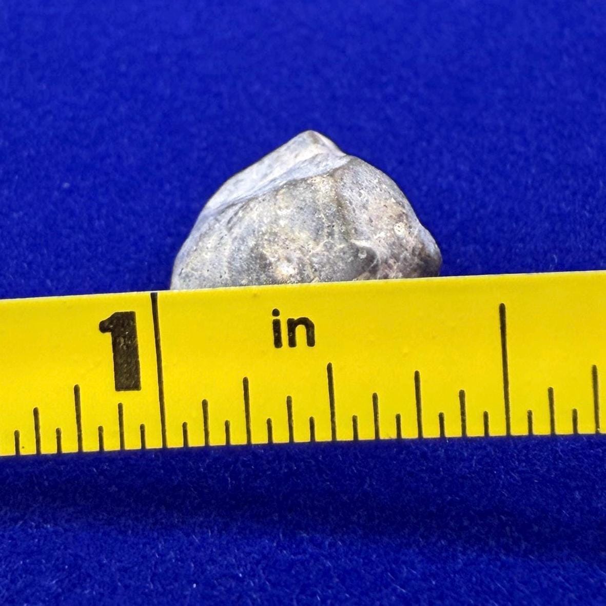 NWA 13974 Lunar Meteorite - Feldspathic Breccia, 1.23 grams