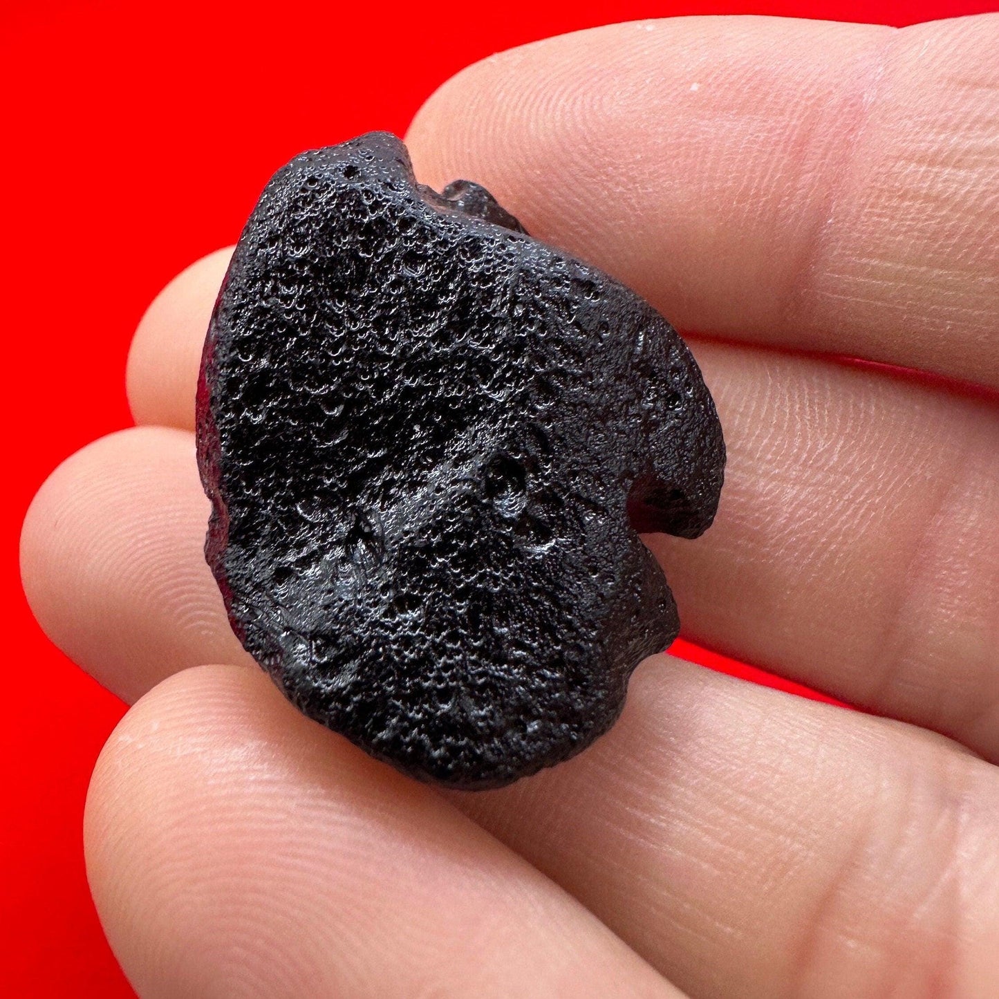 Rizalite Tektite: Rare Indochinite Impactite from Bicol, Philippines, 10.00 grams