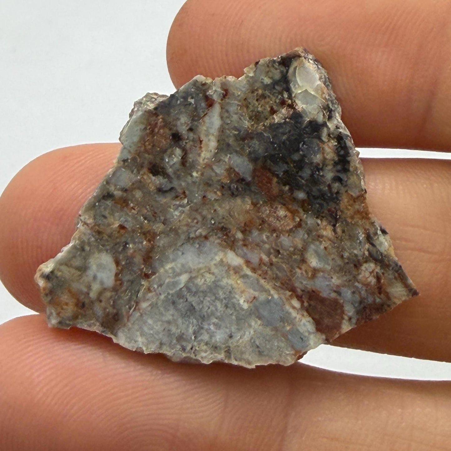 NWA 18045 Lunar Meteorite Slice, Melt Breccia Moon Rock, 3.93g