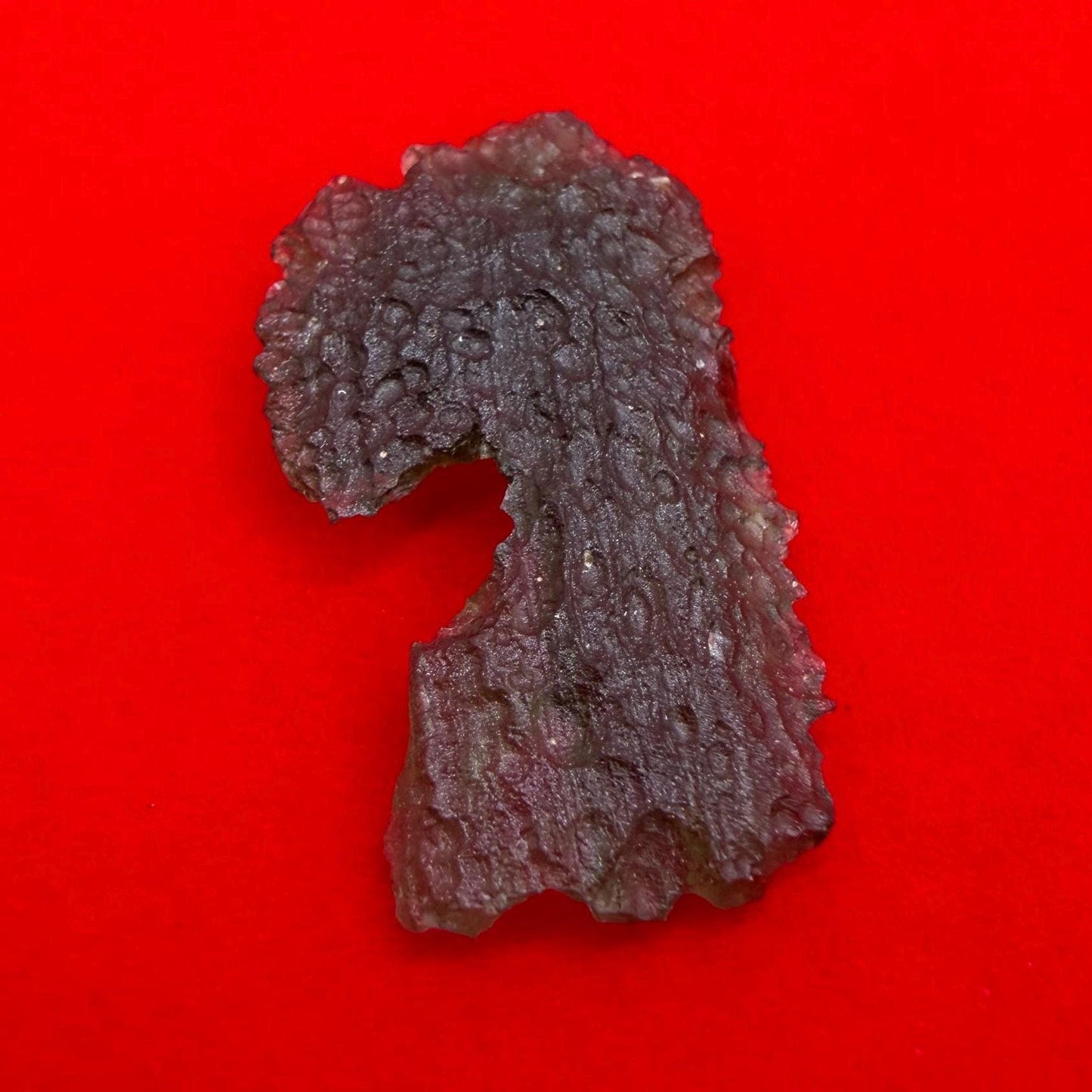 Authentic Moldavite Tektite Specimen: 2.80 grams, Reiki Talisman