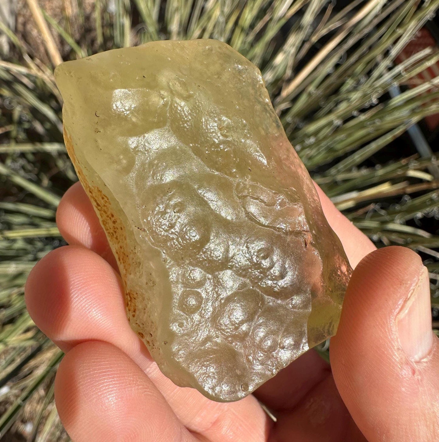 Libyan Desert Glass: Authentic Meteorite Impact Glass, Premium Sahara Specimen, 57.35 grams
