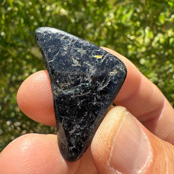 Polished Nuummite Stone: Greenland Gemstone with Display Case, Talisman, 18.89 grams