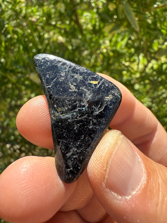 Polished Nuummite Stone: Greenland Gemstone with Display Case, Talisman, 18.89 grams