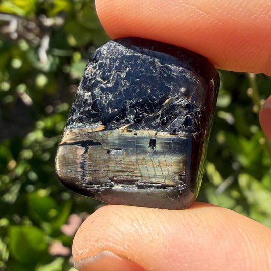 Greenland Nuummite Stone: Reiki Healing Stone, Protection Talisman, 9.61 grams