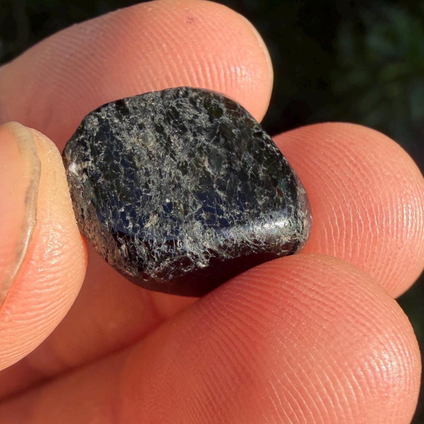 Greenland Nuummite Stone: Reiki Healing Stone, Protection Talisman, 5.25 grams