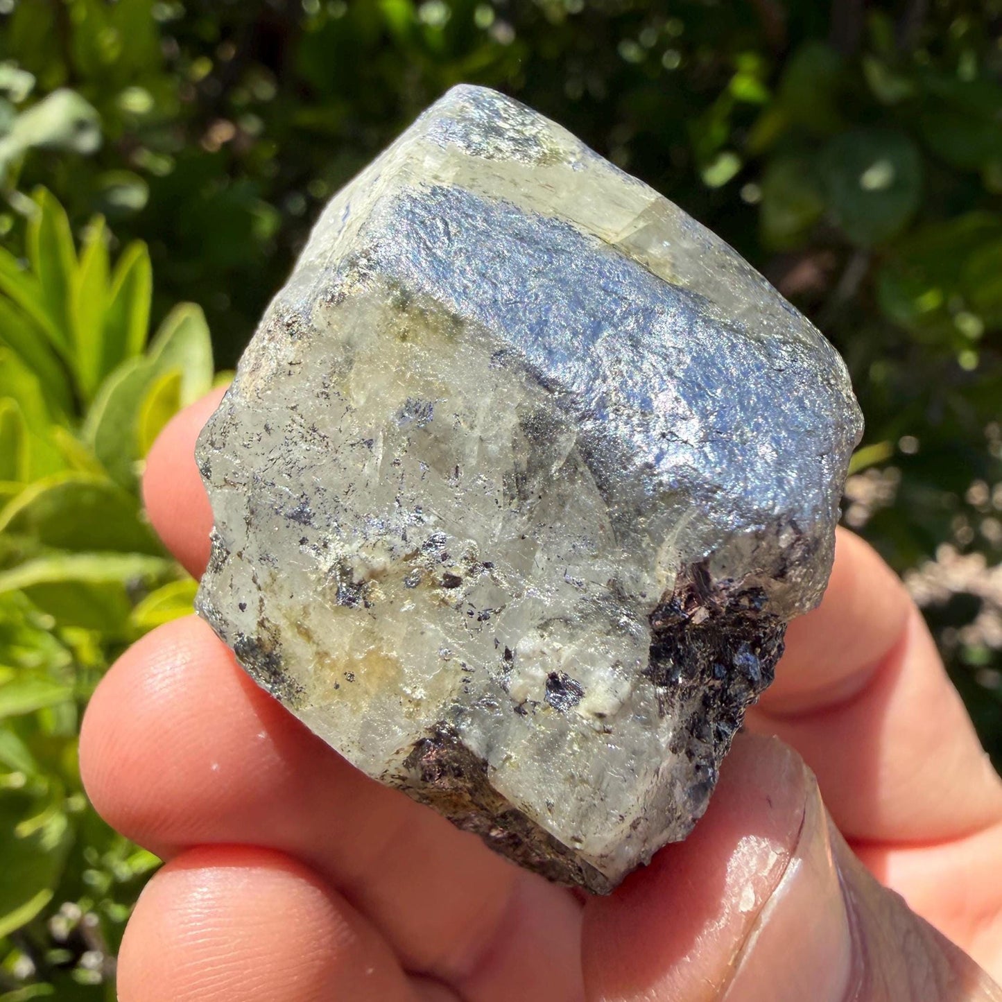 Brazilian Phenacite Crystal w/ Muscovite, Carnaíba, Brazil, 79.72g/398.6ct