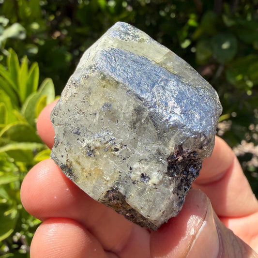 Brazilian Phenacite Crystal w/ Muscovite, Carnaíba, Brazil, 79.72g/398.6ct