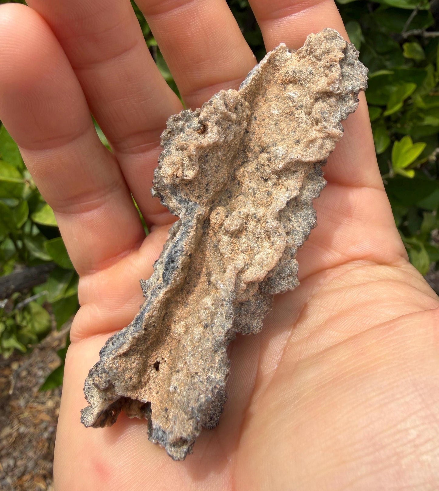Sahara Desert Fulgurite: Lightning Glass, Fossilized Lightning, Energy Work, 14.55 grams