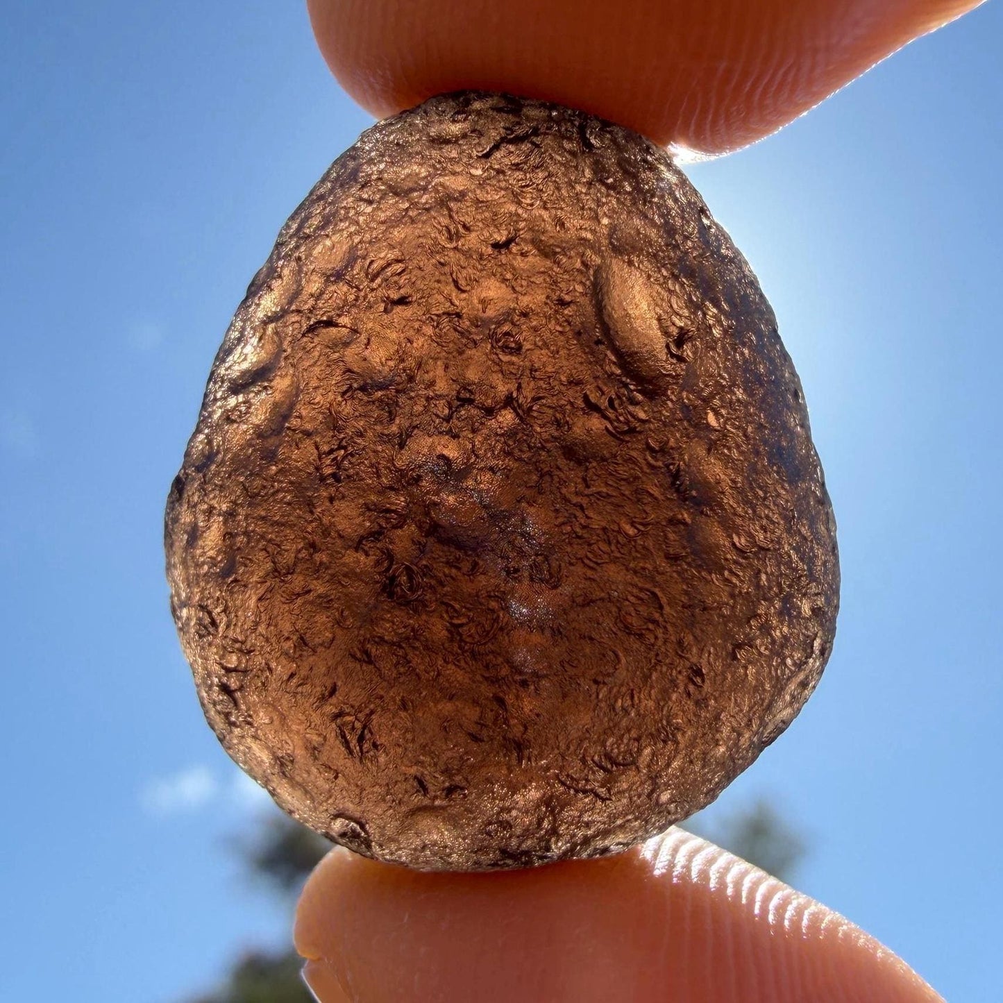 Saffordite Cintamani Specimen: Rare Arizona Pseudotektite, 10.85 grams