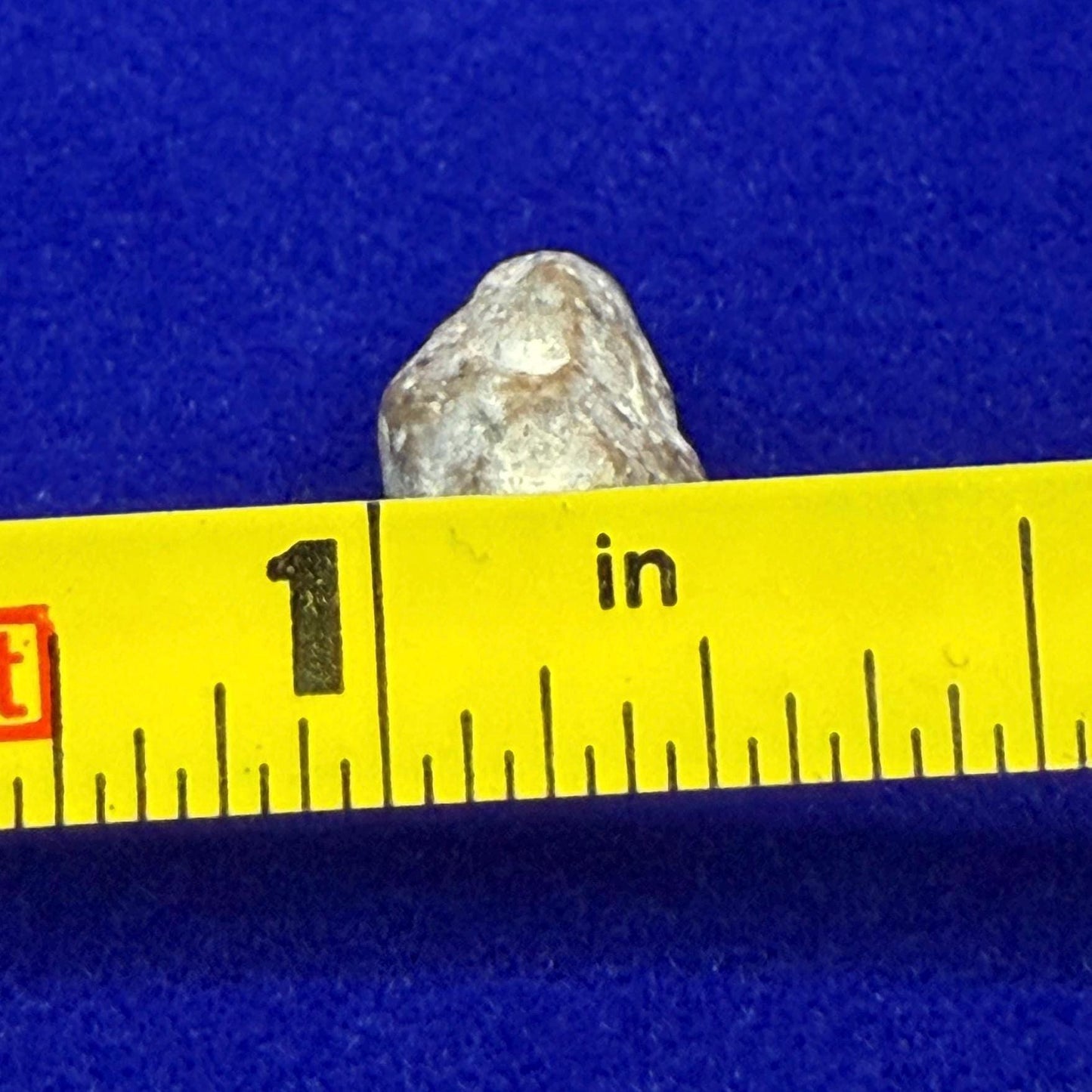 NWA 13974 Lunar Meteorite: Feldspathic Breccia, Moon Rock, 0.47 grams