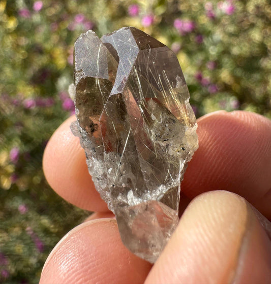 Twin Golden Rutilated Quartz Crystal: Brazilian Fine Crystal, 5.65 grams