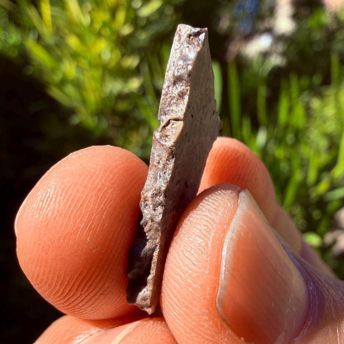 Oued el Hamim 001 Lunar Meteorite Slice, Authentic Moon Rock, Rare Aqueously Altered Lunar, 1.14g