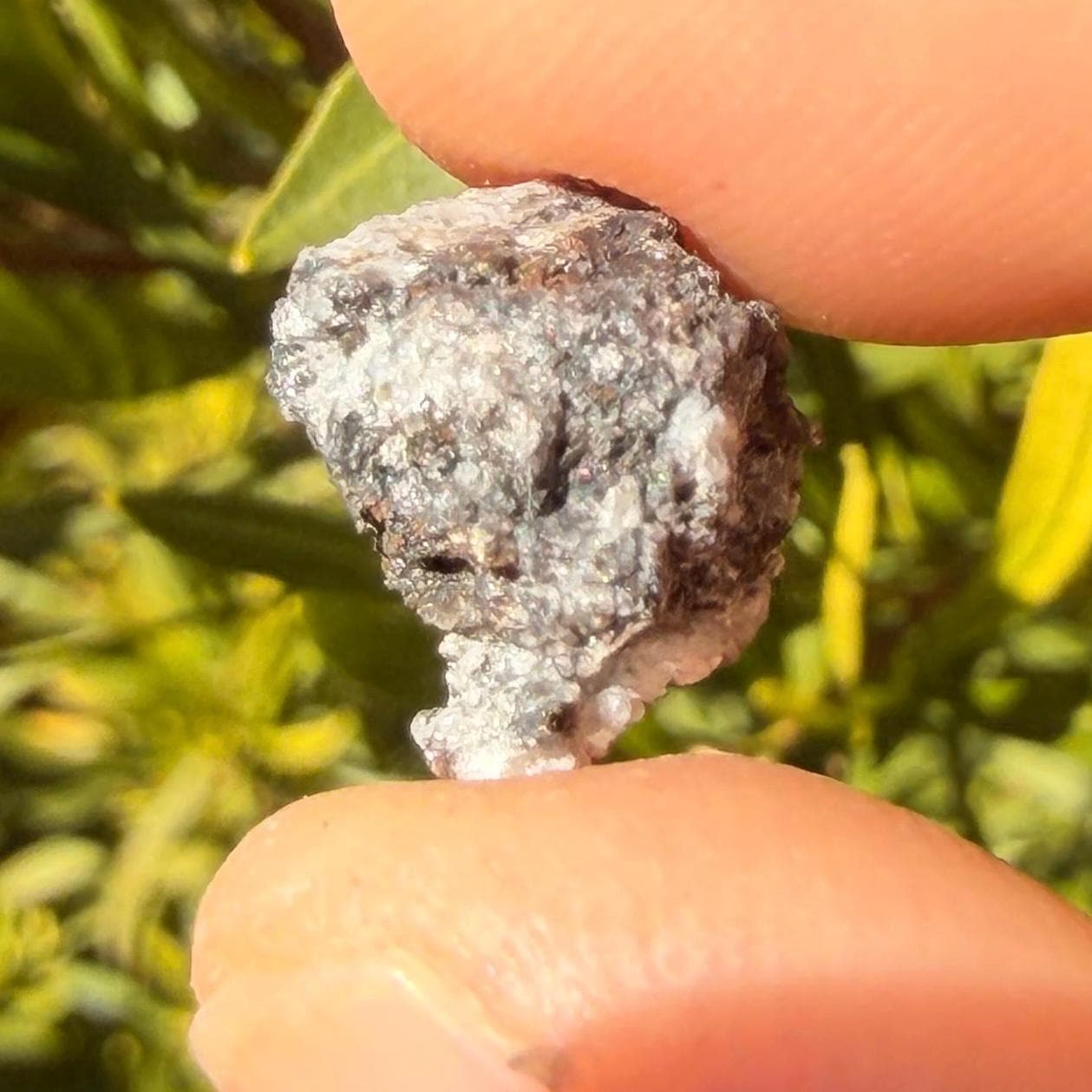 Ksar Ghilane 022 Meteorite, KG 022, Ungrouped Achondrite, Possibly Mercurian, 0.92g