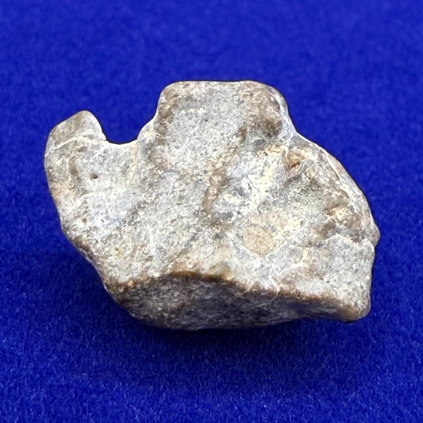 NWA 13974 Lunar Meteorite - Feldspathic Breccia, 1.56 grams