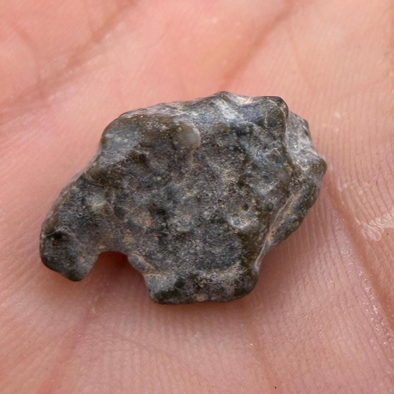 NWA 13974 Lunar Meteorite - Feldspathic Breccia, 1.56 grams