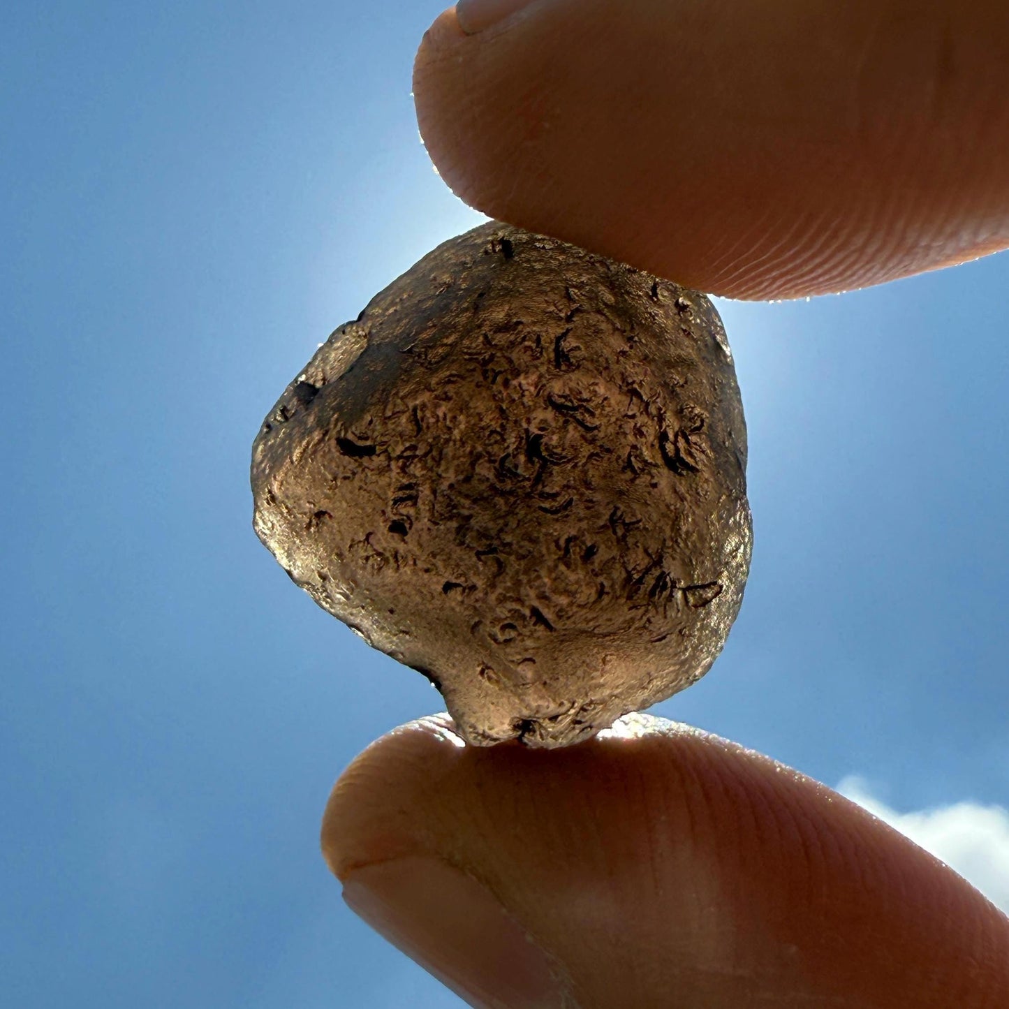 Saffordite Cintamani Stone Specimen: Rare Arizona Pseudo-Tektite, 5.99 grams