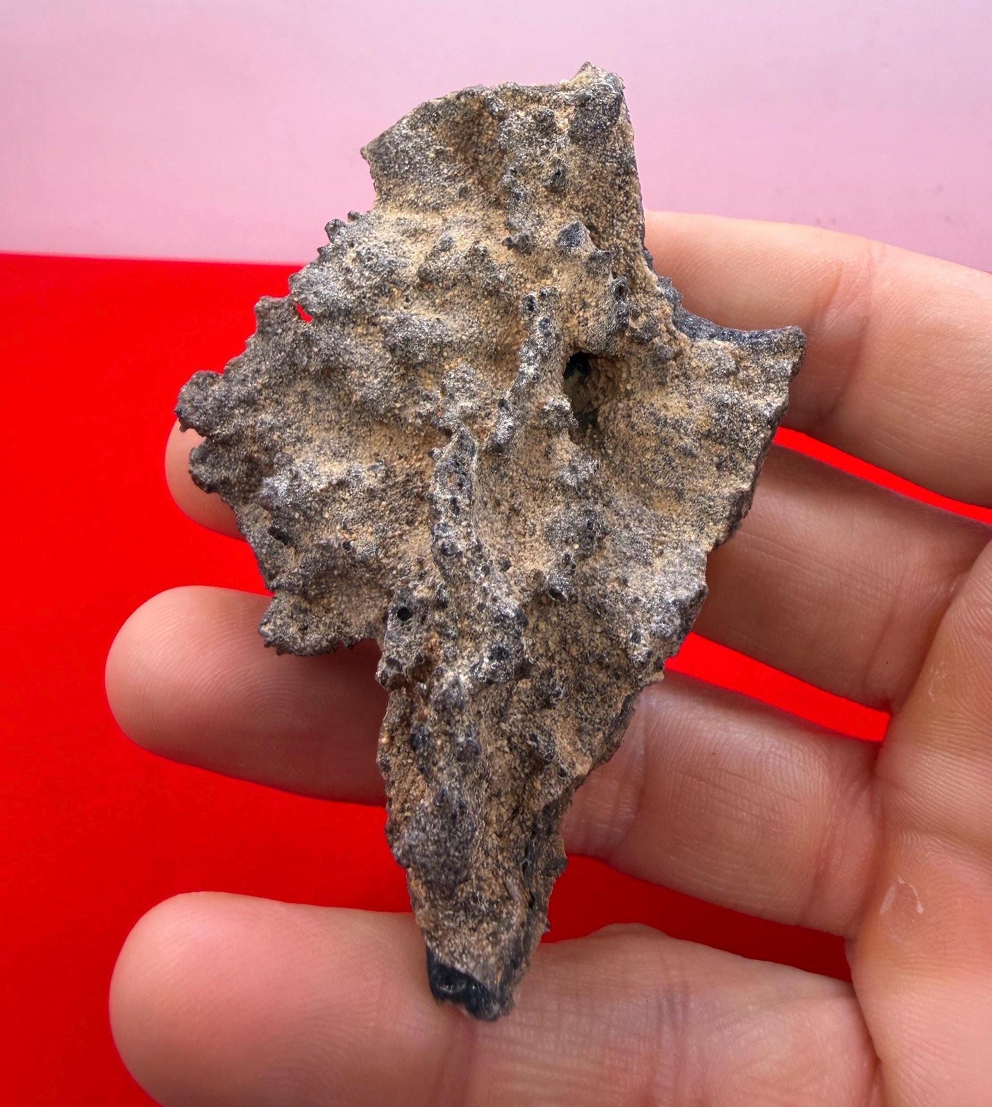 Sahara Desert Fulgurite: Fossilized Lightning Rock, Energy Work, 17.90 grams