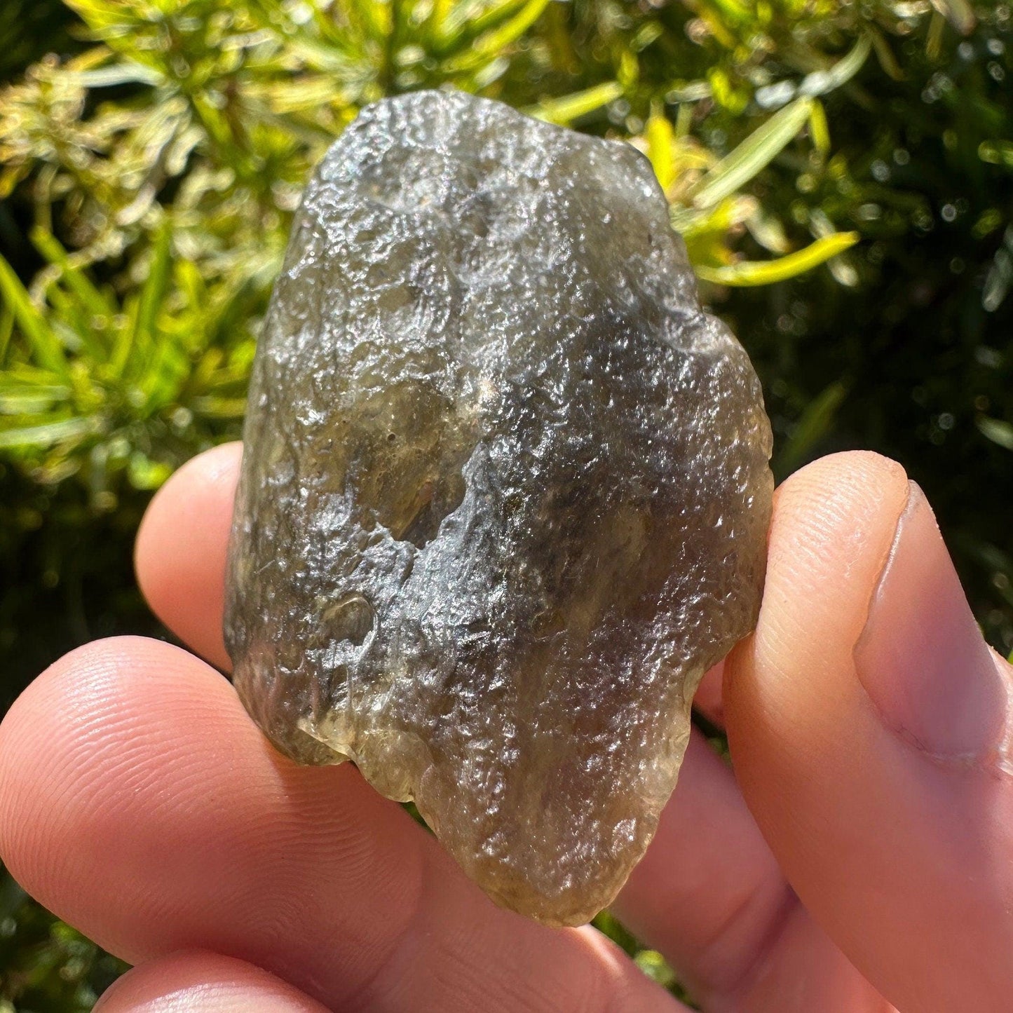 Libyan Desert Glass Tektite: Golden Green Talisman, 42.48 grams