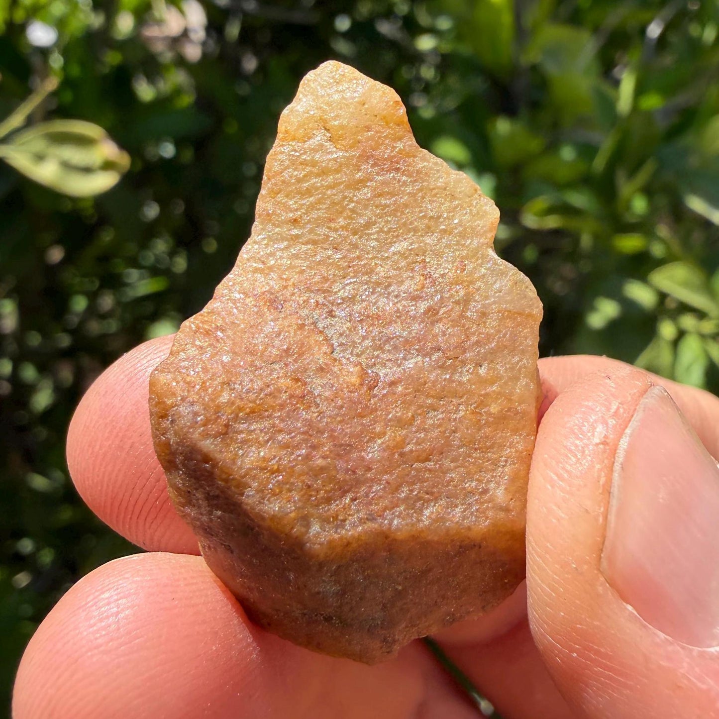 Golden Brazilian Phenacite Crystal: High-Vibration Gemstone, 10.22g/51.1ct