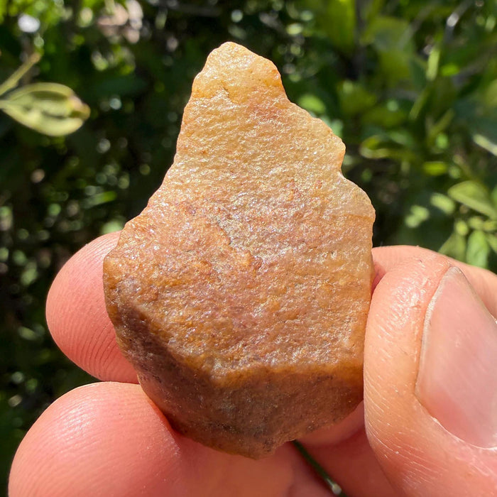 Golden Brazilian Phenacite Crystal: High-Vibration Gemstone, 10.22g/51.1ct