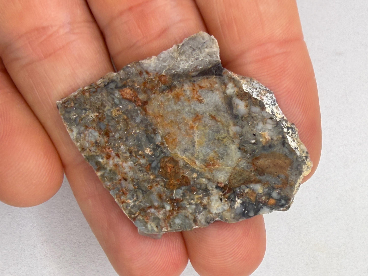 NWA 18045 Lunar Meteorite Slice, Authentic Moon Rock, Melt Breccia, 6.90 grams