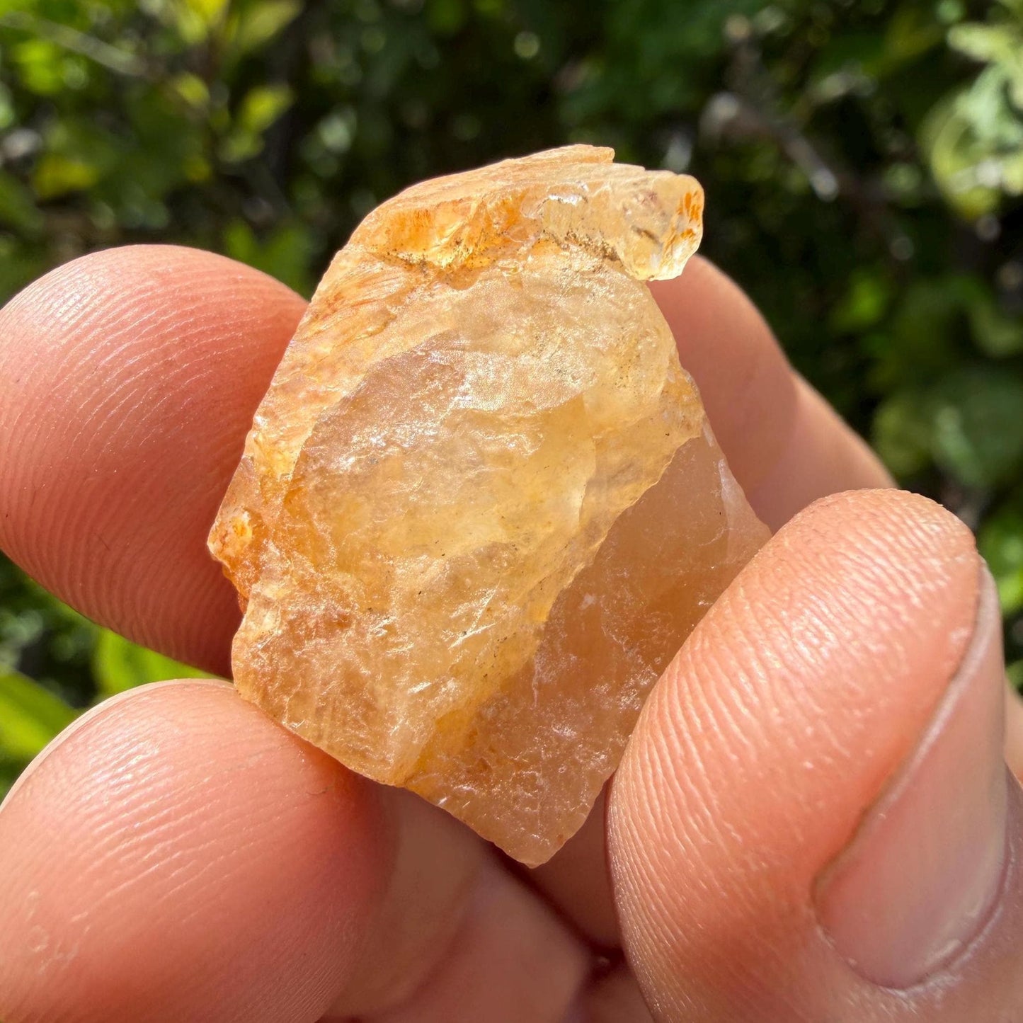 Golden Brazilian Phenacite Crystal: High-Vibration Gemstone, 7.89g/39.45ct